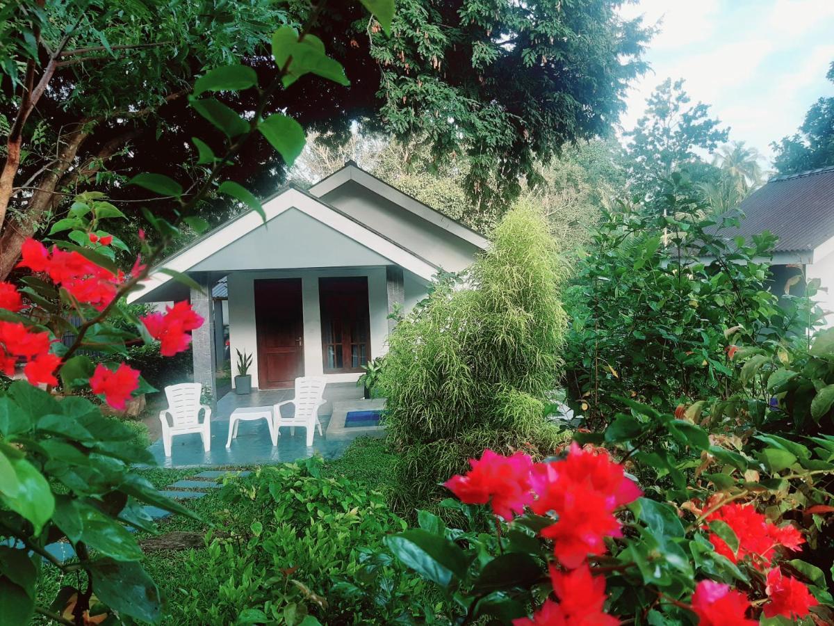 Hidden Lake Cottages סיגירייה מראה חיצוני תמונה
