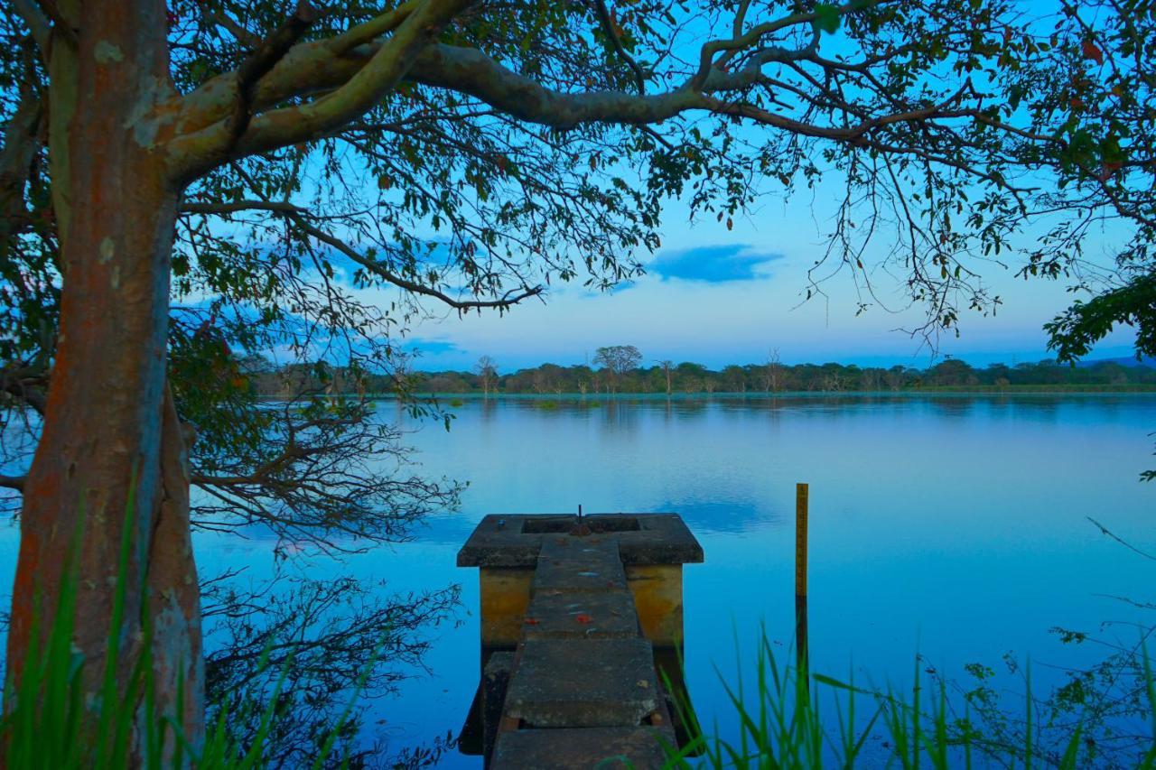 Hidden Lake Cottages סיגירייה מראה חיצוני תמונה